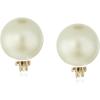 Anne Klein Earring(Gold)
