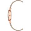 Anne Klein Women’s Leather Strap Watch(Taupe/Rose Gold)