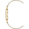 Anne Klein Women’s Mesh Bracelet Watch