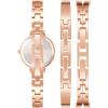 Anne Klein Women’s Premium Crystal Accented Bangle Watch Set, AK/2245(Rose Gold/Gunmetal Grey)