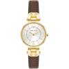 Anne Klein Women’s Leather Strap Watch(Gold/Brown)