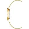 Anne Klein Women’s Glitter Accented Mesh Bracelet Watch(Gold/Black)