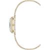 Anne Klein Women’s Mesh Bracelet Watch(Black/Gold)