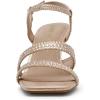 Anne Klein Women’s Sonoma-c Heeled Sandal(Platinum Crysta)