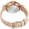 Anne Klein Women’s Leather Strap Watch(Blush/Rose Gold)